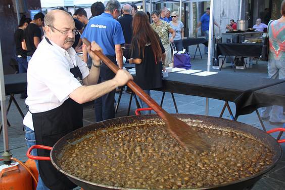 Mikologika azoka 16 1413647971152