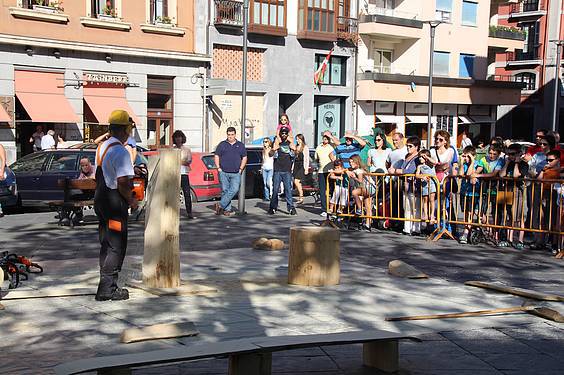 Mikologika azoka 18 1413647972360