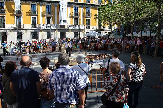 Mikologika azoka 21 1413647973775