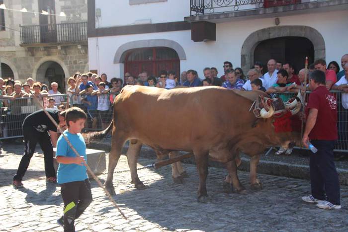 Bidanian kirola izan da ikusgai 1 1440360104235