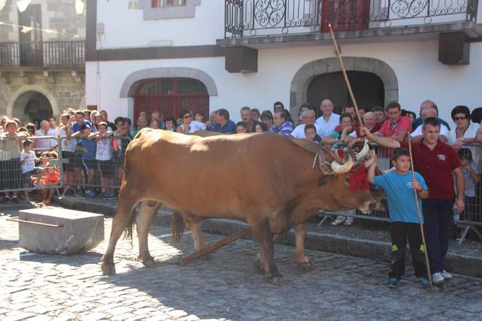 Bidanian kirola izan da ikusgai 3 1440360104917