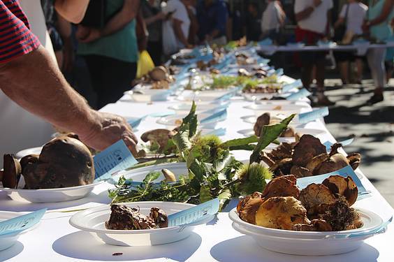 Mikologika azoka 22 1413647974396