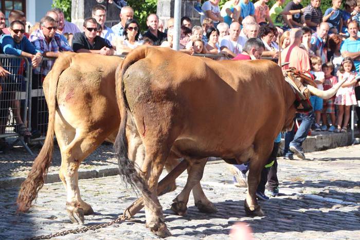 Bidanian kirola izan da ikusgai 4 1440360105218