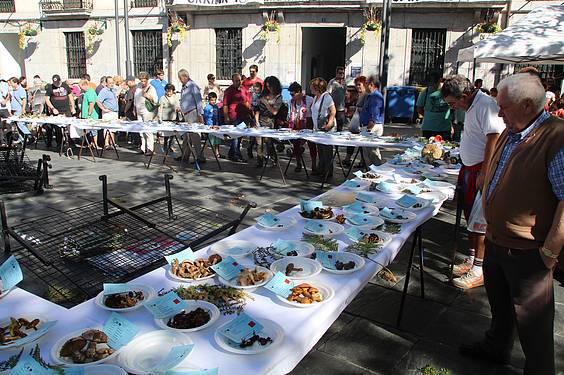 Mikologika azoka 23 1413647975509