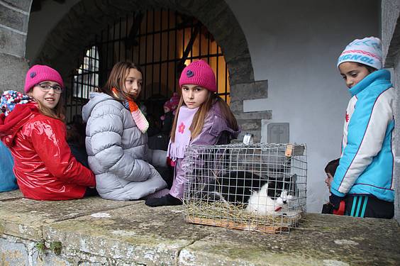 Berastegiko San Anton 1 1421493564837