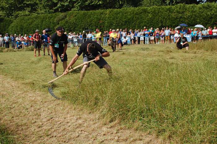 europako sega txapelketa 2015 44 1441034730114