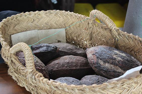 Txokolatearen Eguna 13 1382958657386