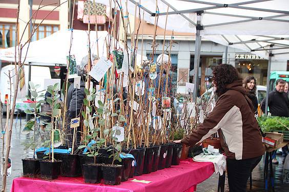 Landare azoka Tolosa 1 1424522269549