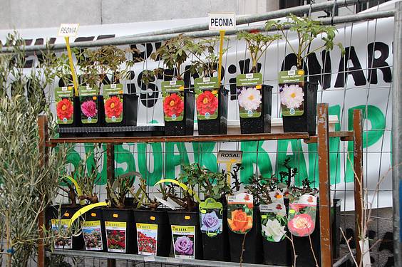 Landare azoka Tolosa 4 1424522271453