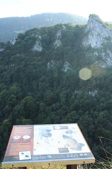 Alkizatik Herniora 11 1411401798502