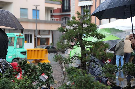 Landare azoka Tolosa 6 1424522272375