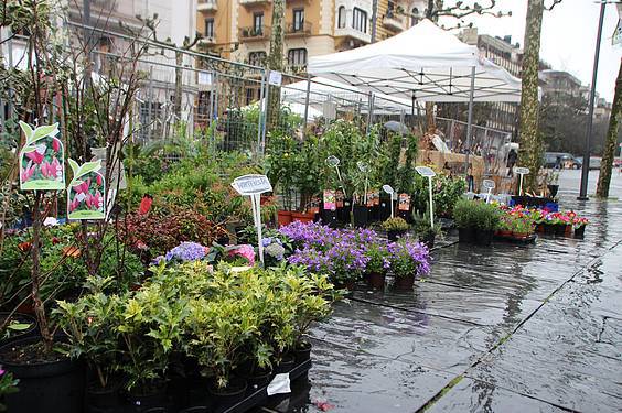 Landare azoka Tolosa 9 1424522273763