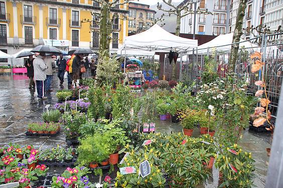 Landare azoka Tolosa 11 1424522274828