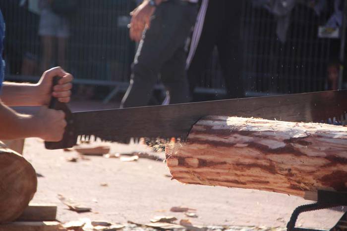 Bidanian kirola izan da ikusgai 25 1440360111896