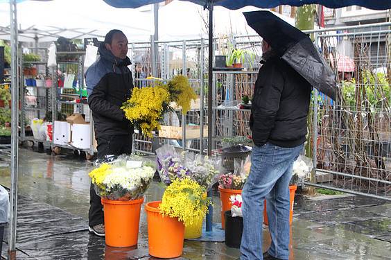 Landare azoka Tolosa 13 1424522275870