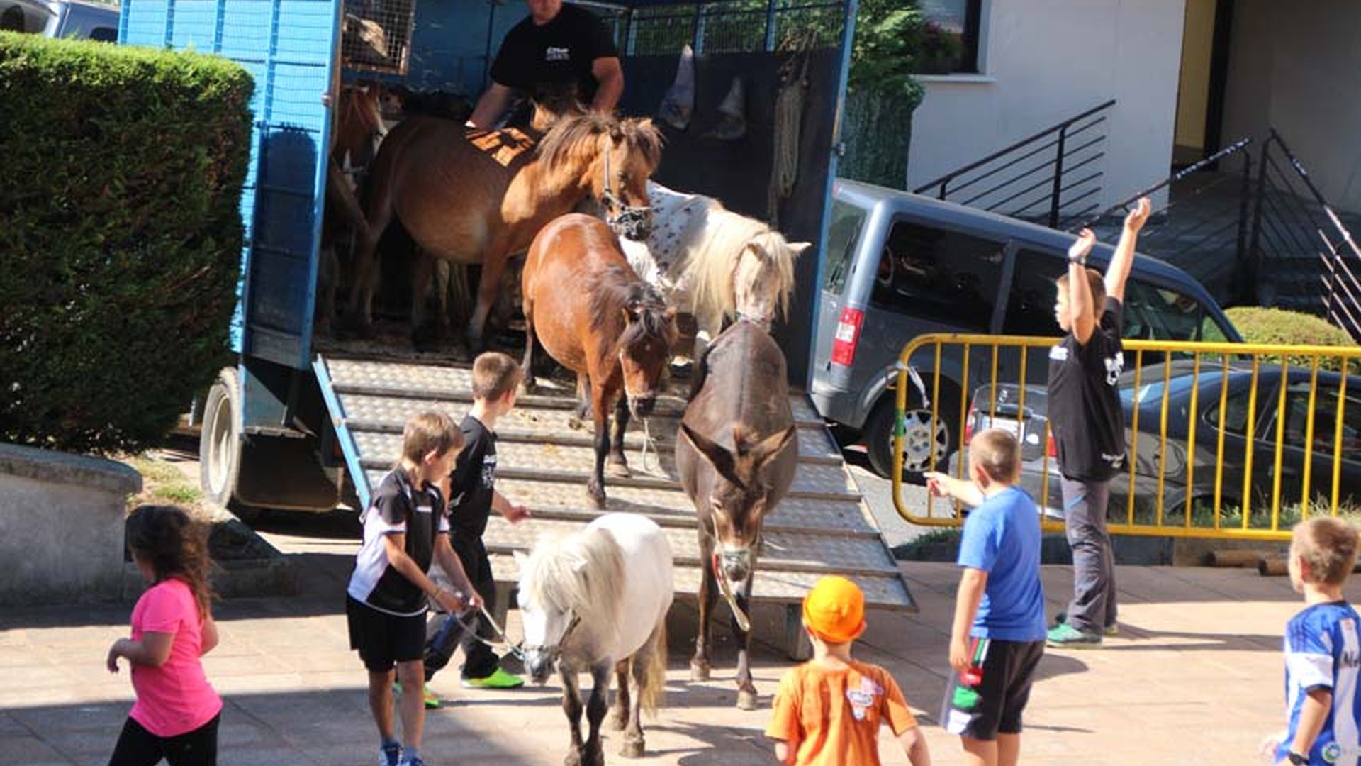 Gozamena Gorritiren animaliekin