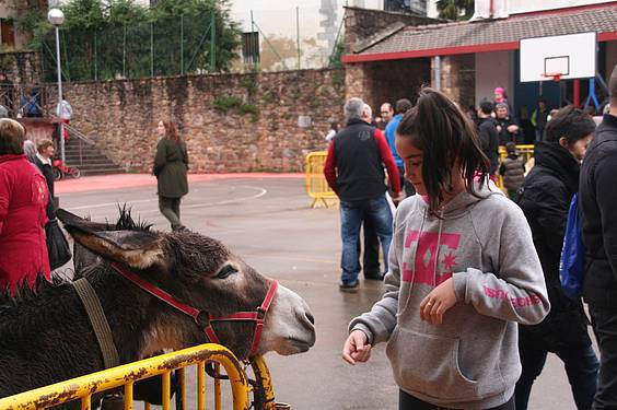 Berastegiko Azoka 5 1383589782158