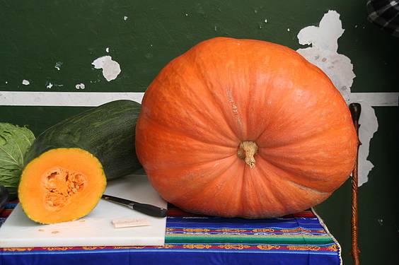 Berastegiko Azoka 10 1383589784714