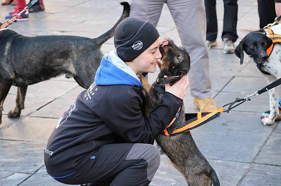 txakur krosa 2015 2 1422287479442