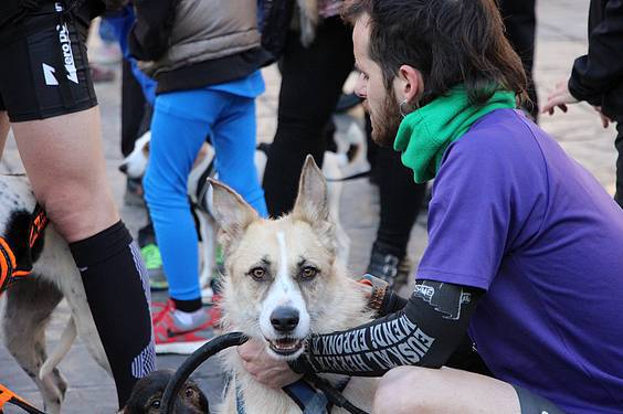 txakur krosa 2015 3 1422287479905