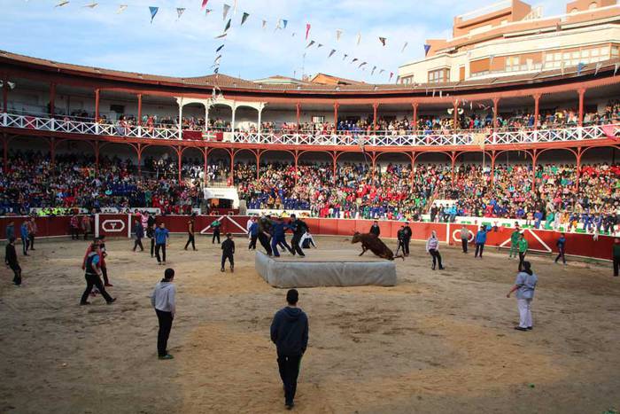 ostegun gizen 2015 zezenak 1 27 1423763410179