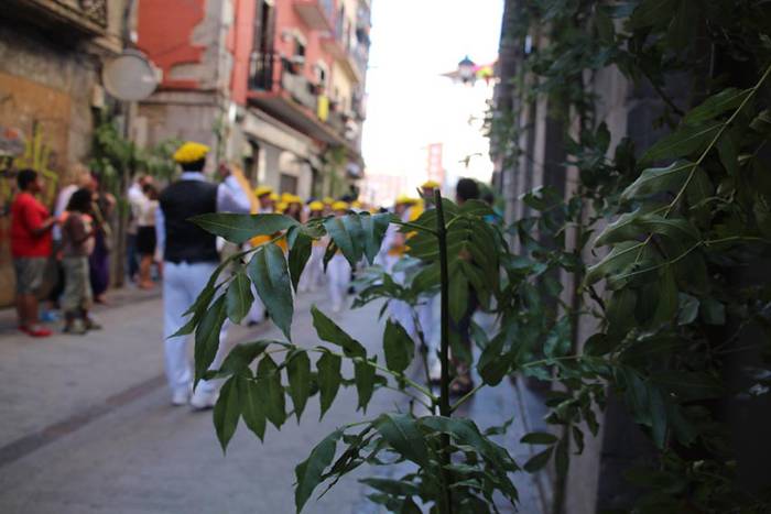 san joan eguna tolosa 2015 370 1435255392206