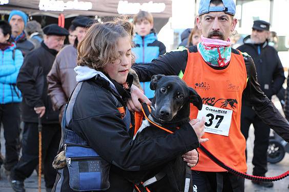 txakur krosa 2015 8 1422287482923