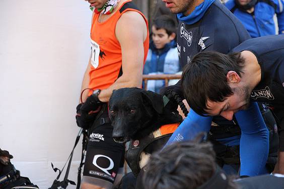 txakur krosa 2015 9 1422287483989