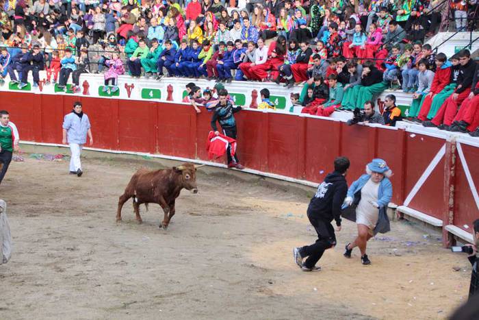 ostegun gizen 2015 zezenak 1 29 1423763412498