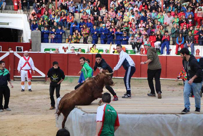 ostegun gizen 2015 zezenak 1 30 1423763413673