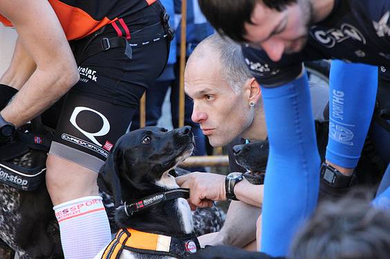 txakur krosa 2015 10 1422287484421