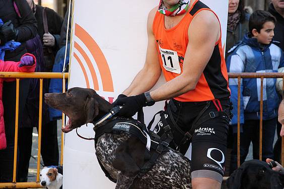 txakur krosa 2015 11 1422287485153