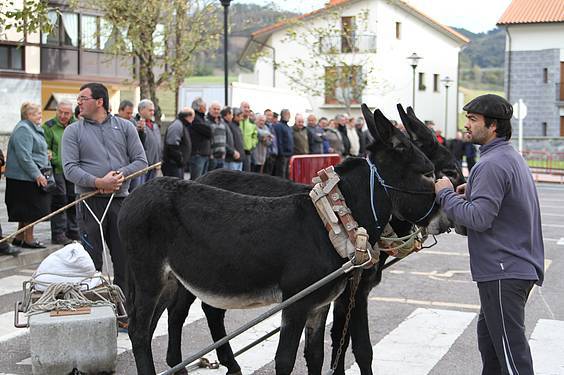 san martin amasan 2014 1 1415716775086