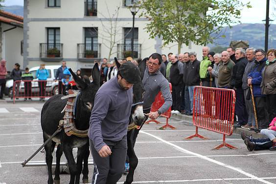 san martin amasan 2014 2 1415716776236
