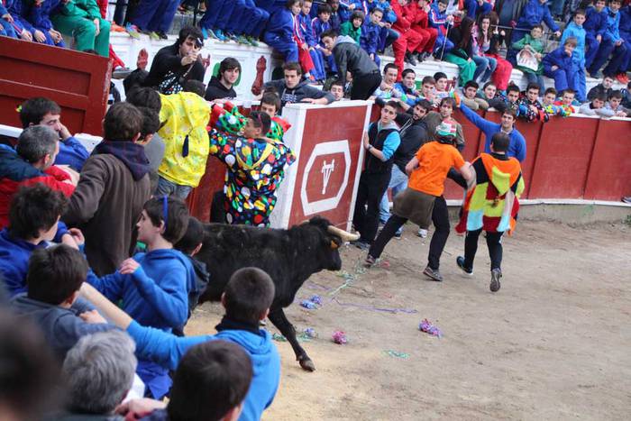 ostegun gizen 2015 zezenak 2 5 1423763469462