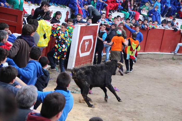 ostegun gizen 2015 zezenak 2 6 1423763470581