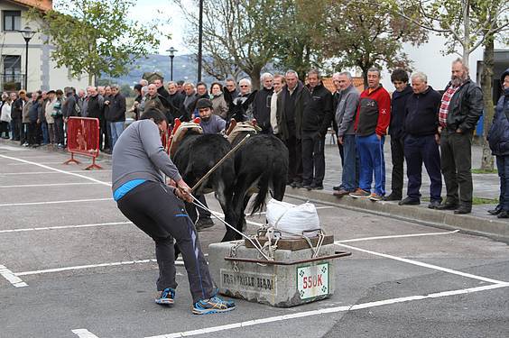 san martin amasan 2014 3 1415716776721