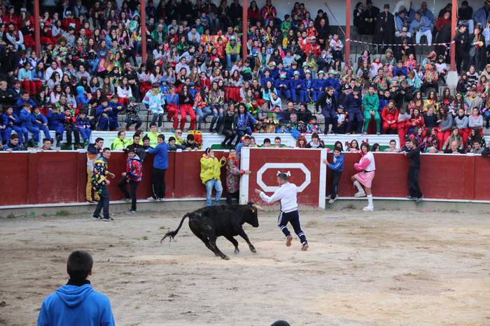 ostegun gizen 2015 zezenak 2 7 1423763471696