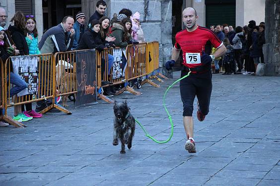 txakur krosa 2015 20 1422287490495