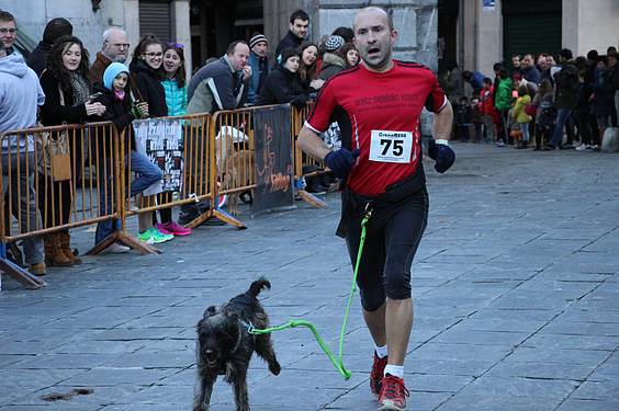 txakur krosa 2015 21 1422287490947