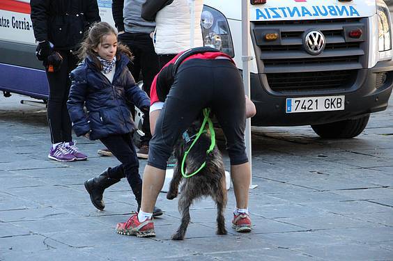 txakur krosa 2015 22 1422287491703