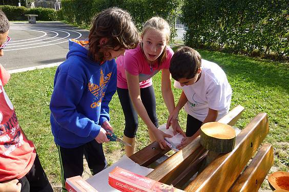 azoka ekologikoa samaniegon 1 1415029976262