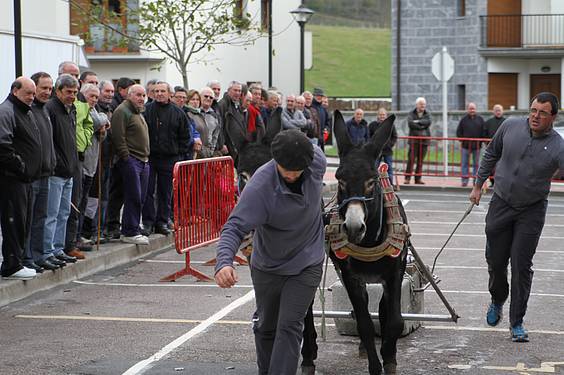 san martin amasan 2014 4 1415716777179