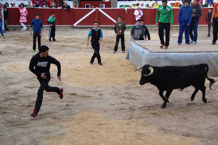 ostegun gizen 2015 zezenak 2 8 1423763472883