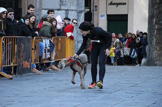 txakur krosa 2015 25 1422287495016