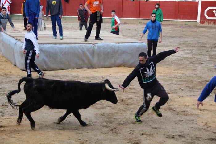 ostegun gizen 2015 zezenak 2 9 1423763474516