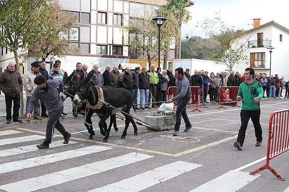 san martin amasan 2014 5 1415716777628