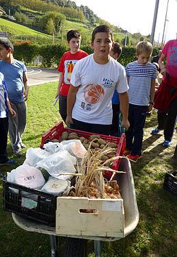 azoka ekologikoa samaniegon 3 1415029977739