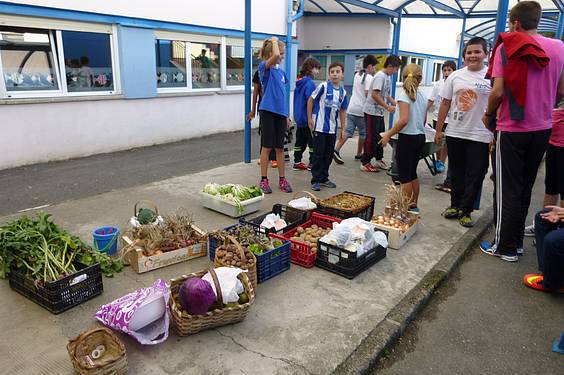 azoka ekologikoa samaniegon 4 1415029978113