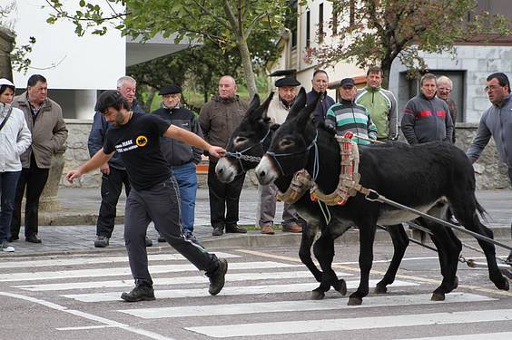 san martin amasan 2014 6 1415716778096